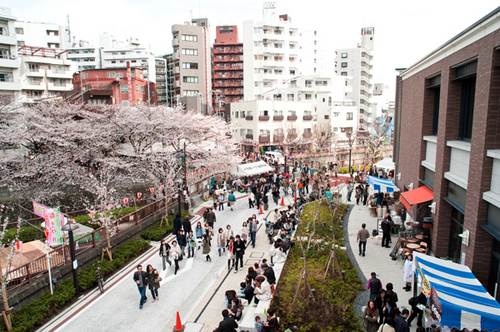 ナカメアルカス　目黒川　桜